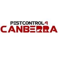 Spider Control Canberra image 1